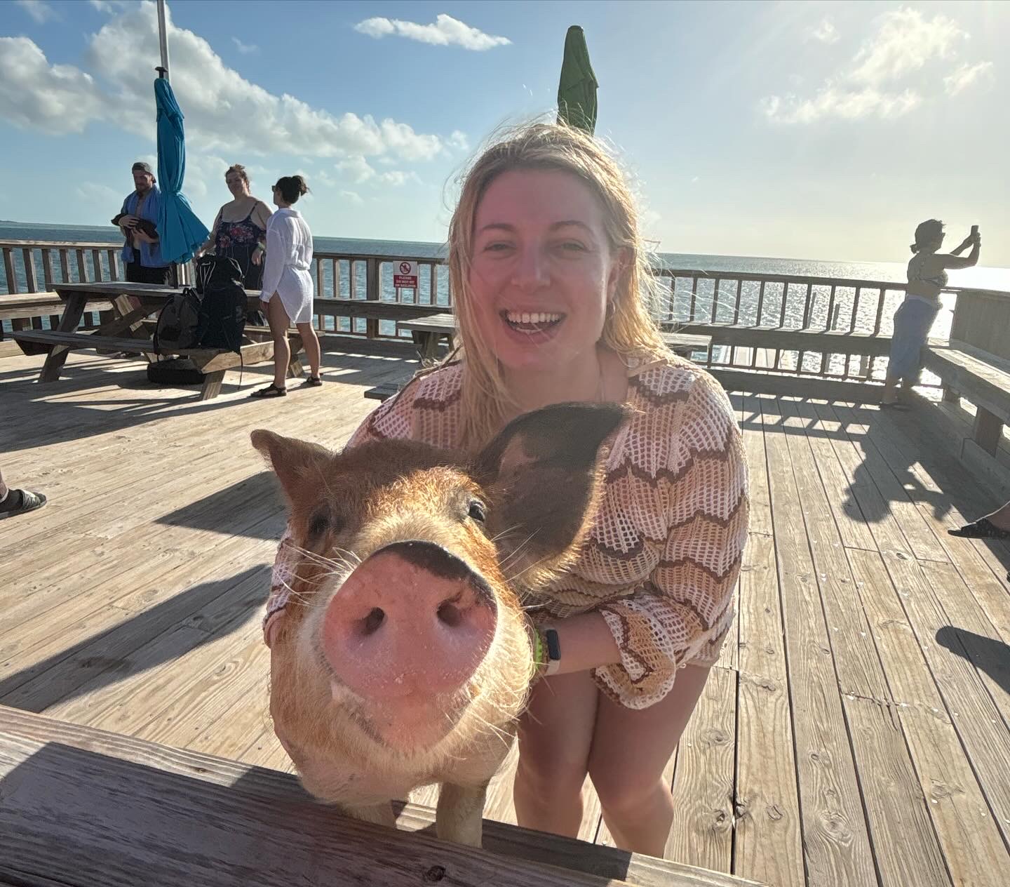 Die berühmten schwimmenden Schweine der Bahamas verleihen der Insel etwas mehr Leben