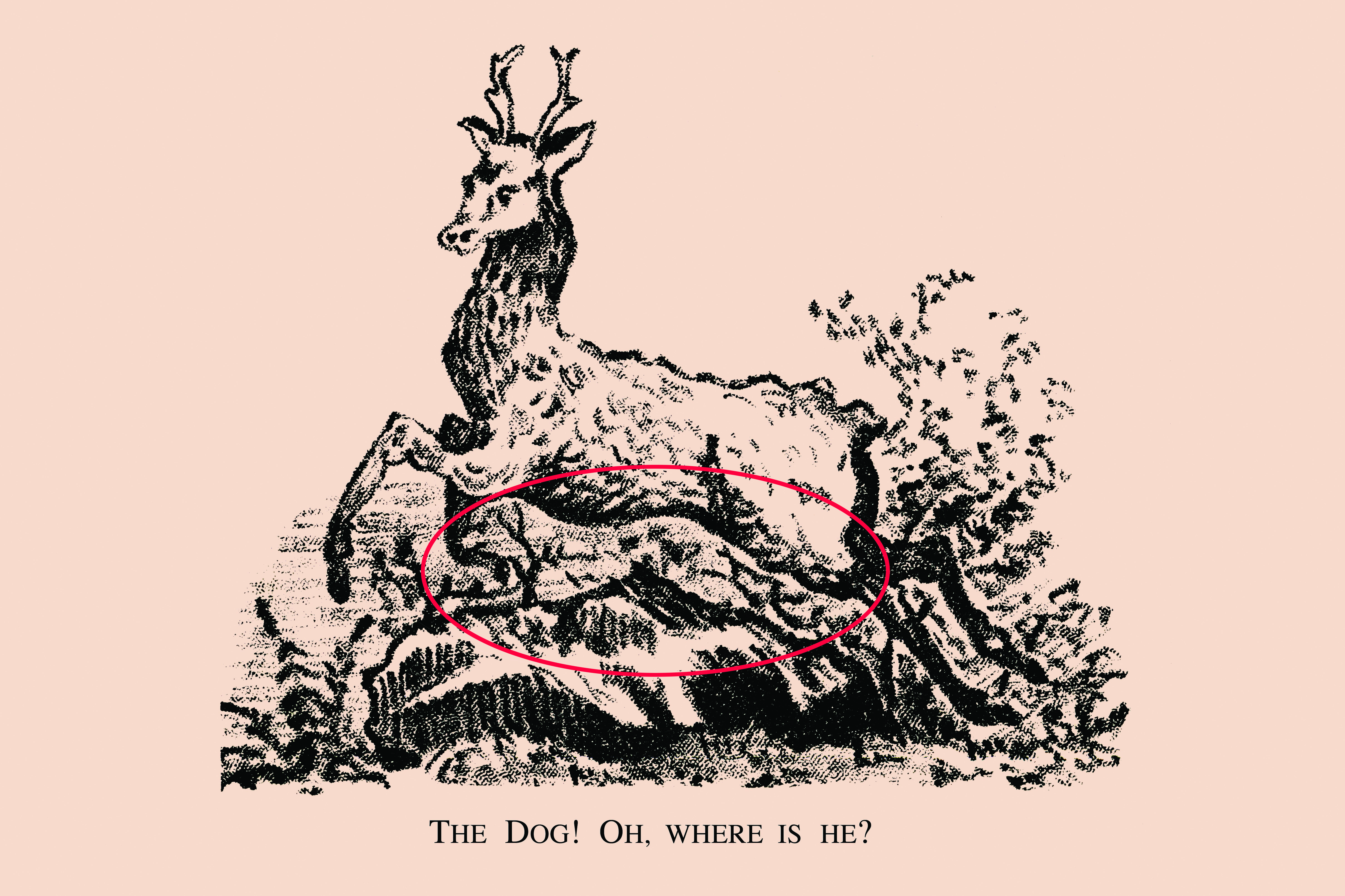 Der Hund ist unter dem Hirsch eingekreist