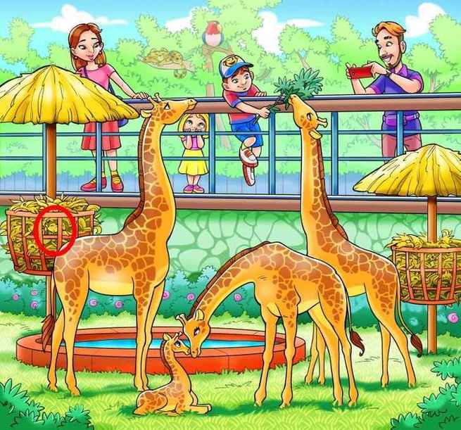 Er wird von den Giraffen unter dem Regenschirm versteckt