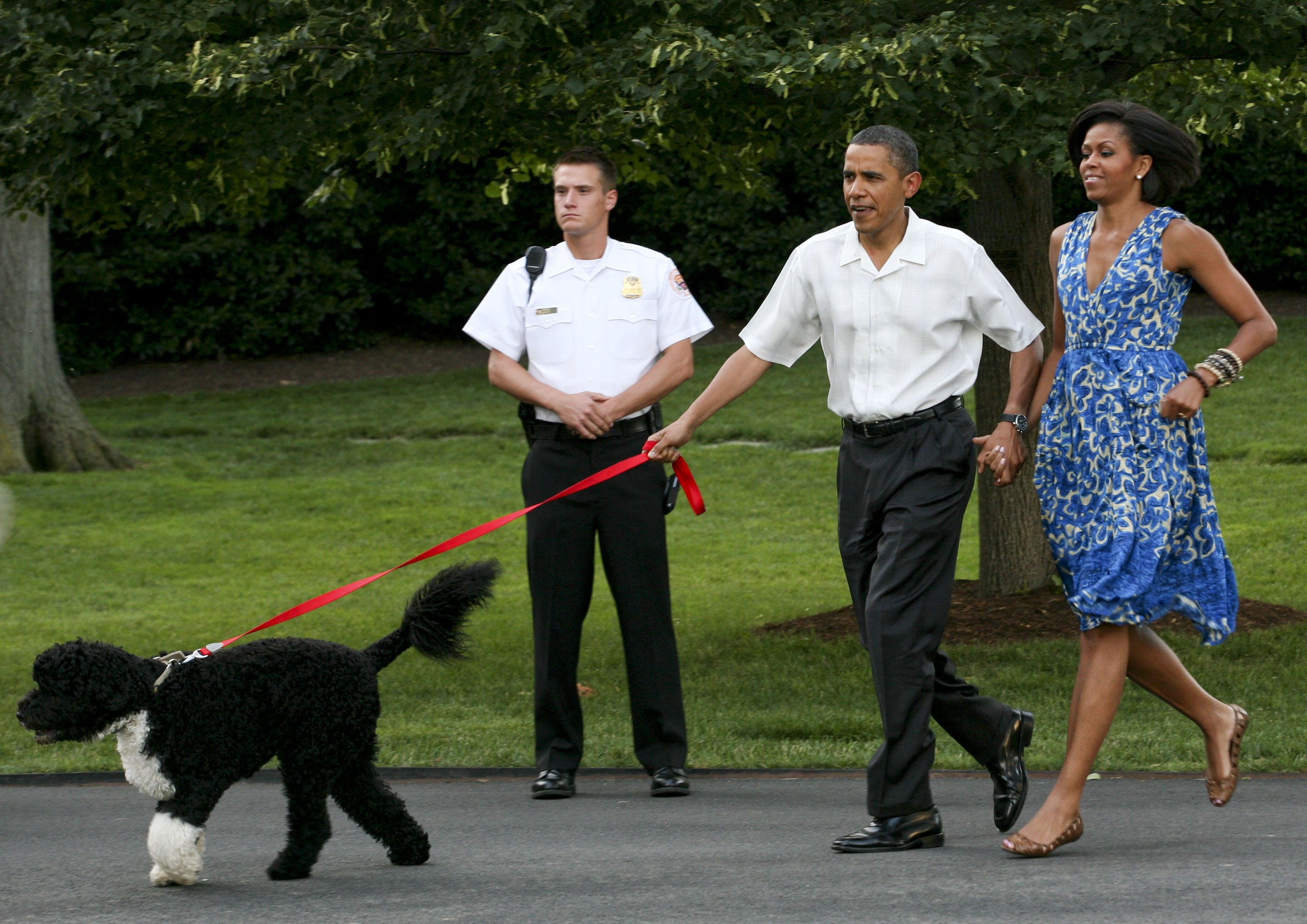Barack und Michelle Obamas Hund Bo gehörte zu den berühmten Haustieren, die Road Refresher verwendeten