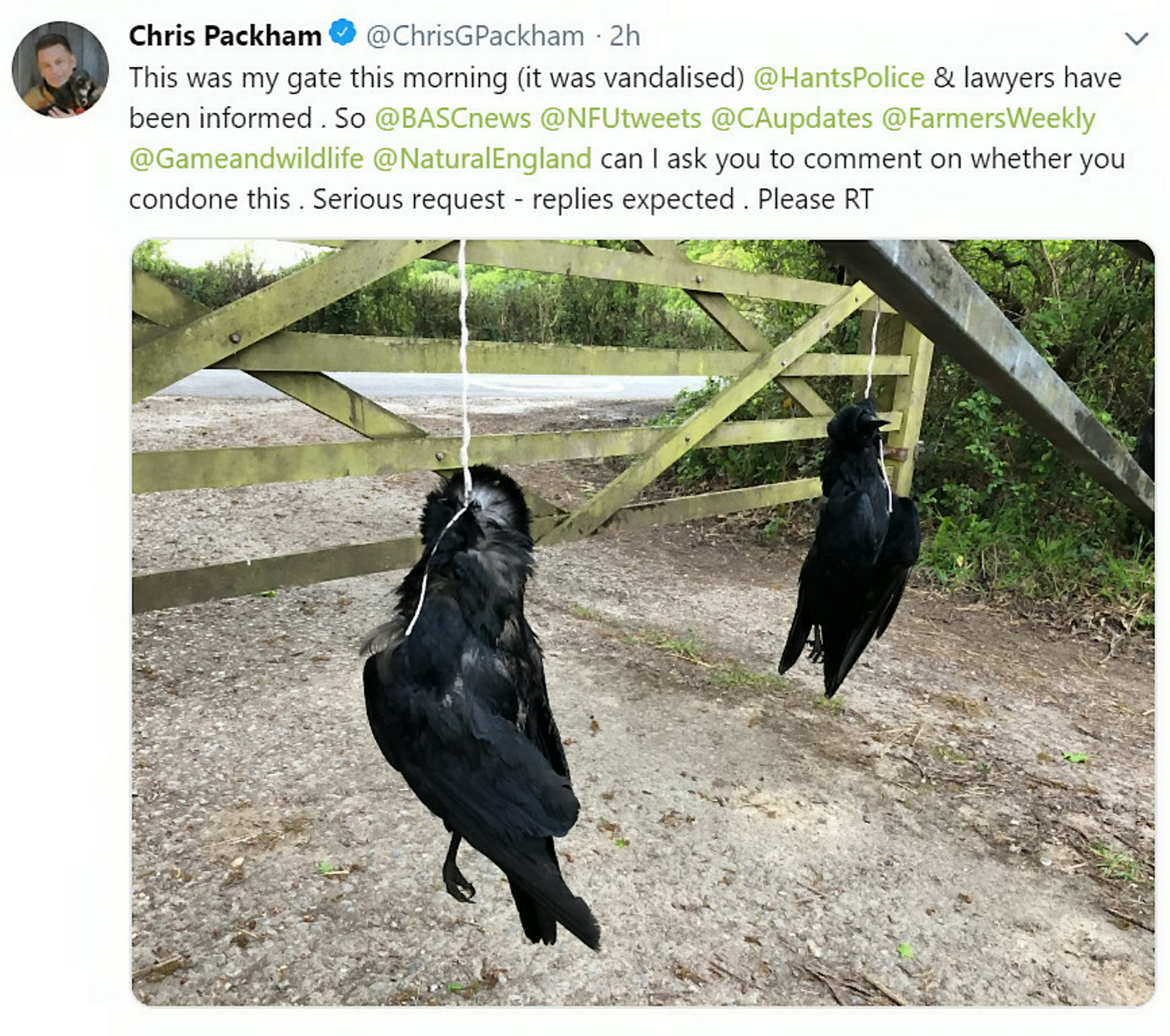 Der Winterwatch-Moderator ließ auch tote Vögel vor seinem Haus aufhängen