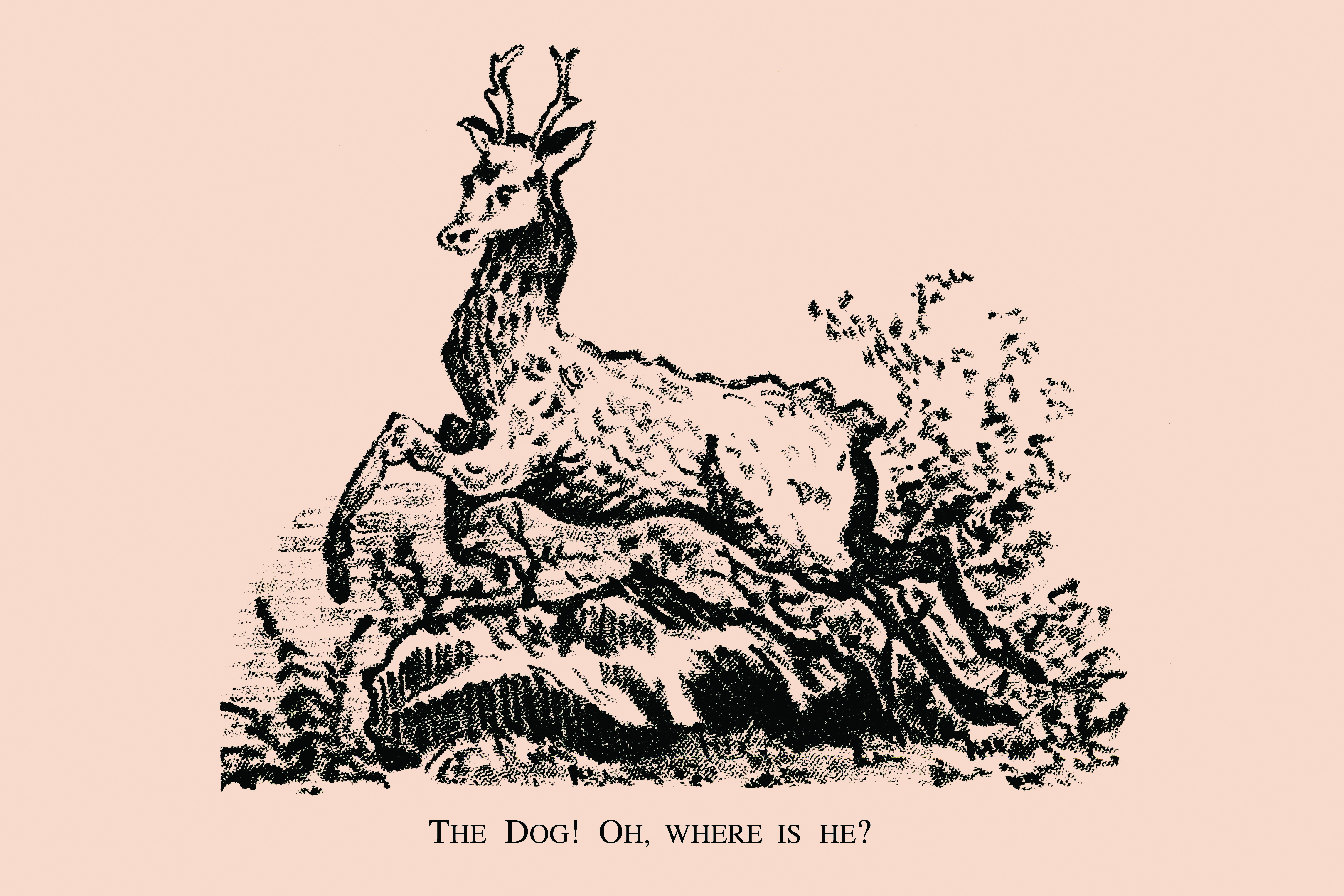 Können Sie den in der Waldszene versteckten Hund sehen?