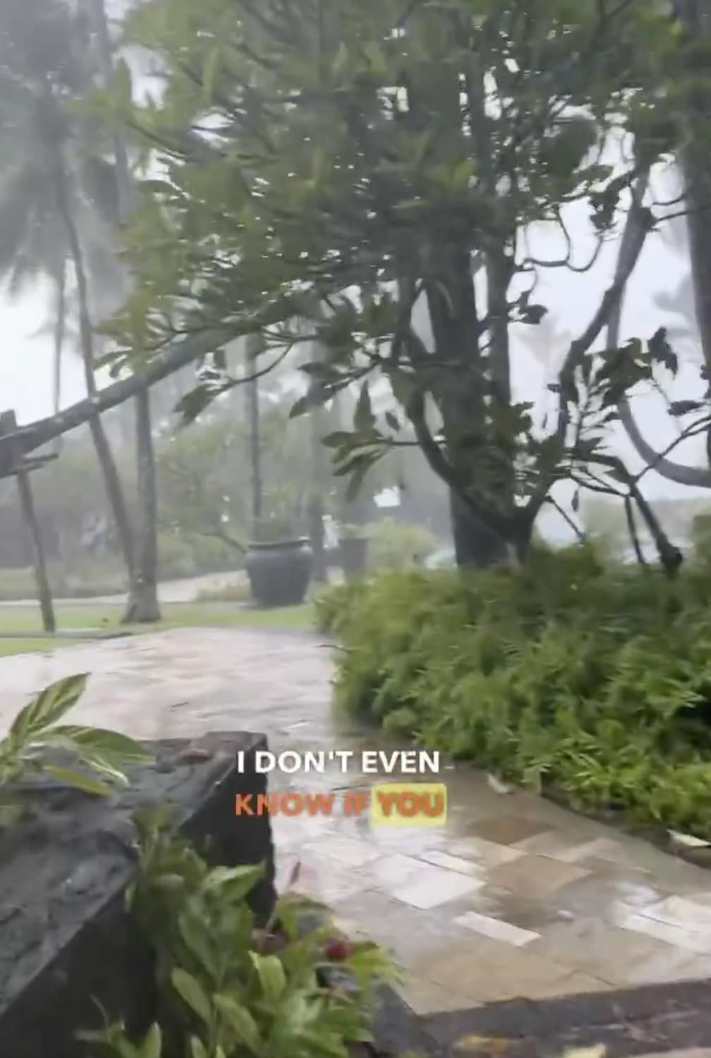 Sie fing umstürzende Bäume im Resort ein, als die Zyklonwarnung auf die maximale Stufe angehoben wurde