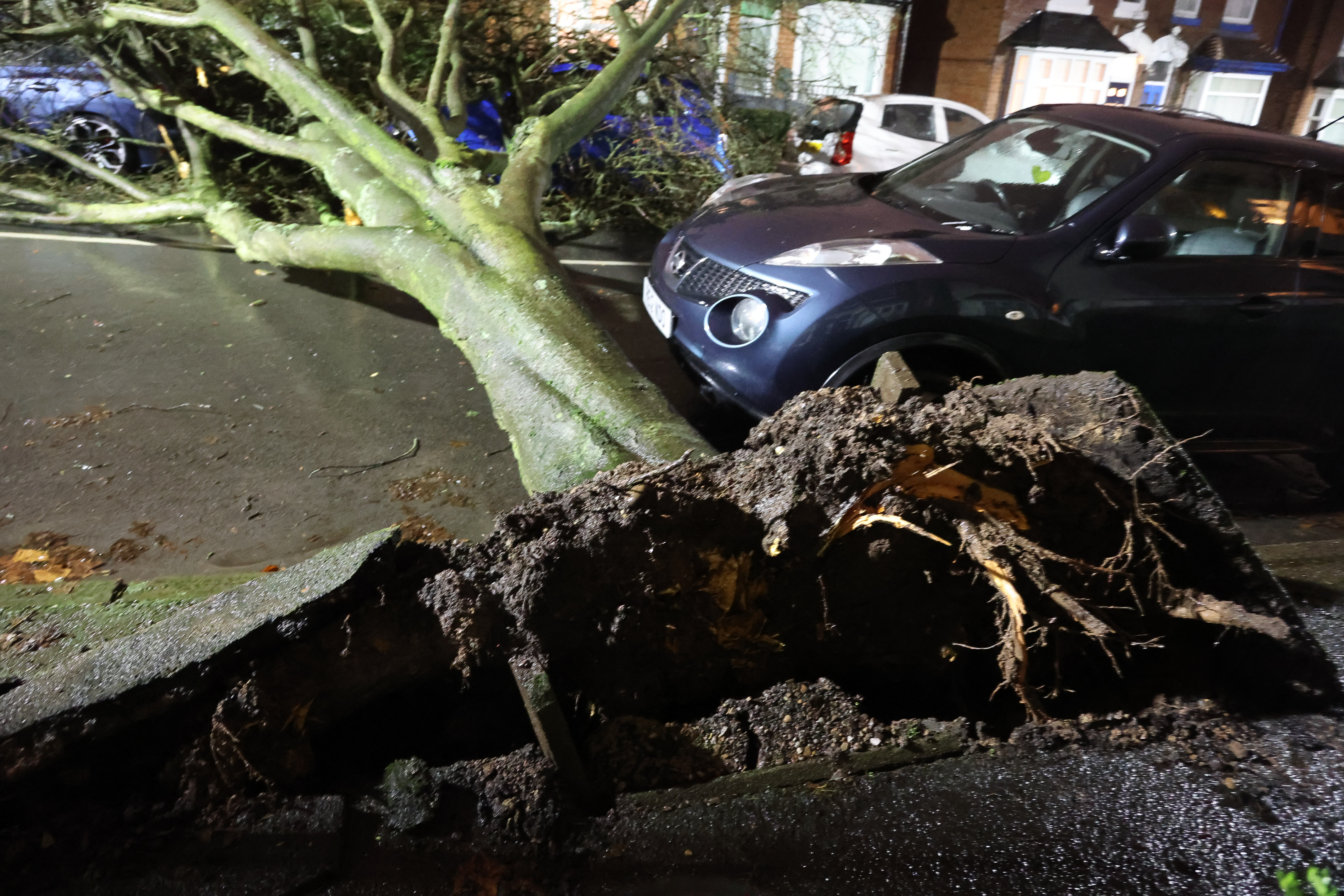 Ein riesiger Baum wurde in Selly Oak, Birmingham, inmitten des Sturms Isha von seinen starken Winden heruntergeweht