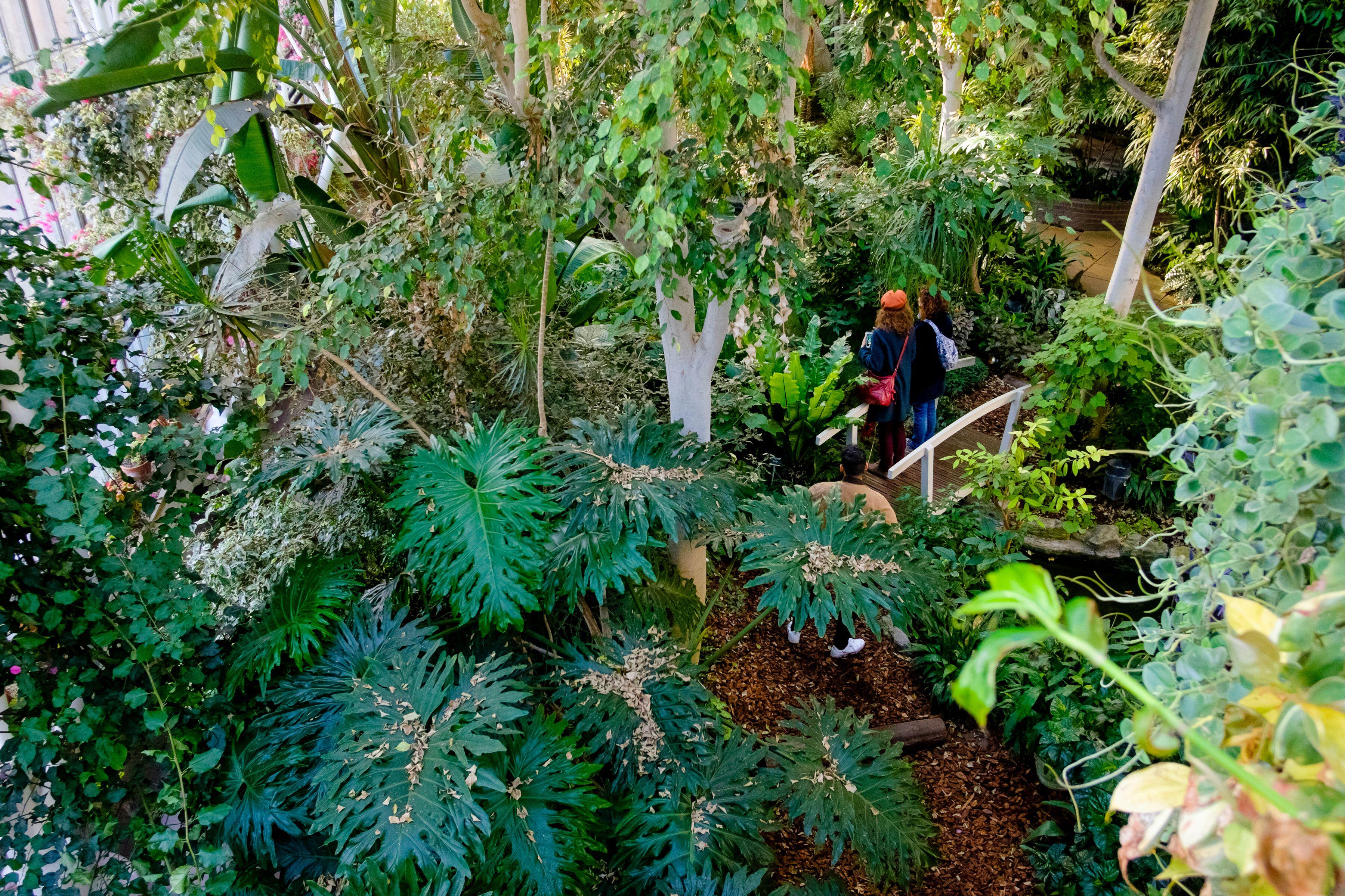 Der Wintergarten beherbergt mehr als 1.500 tropische Pflanzenarten