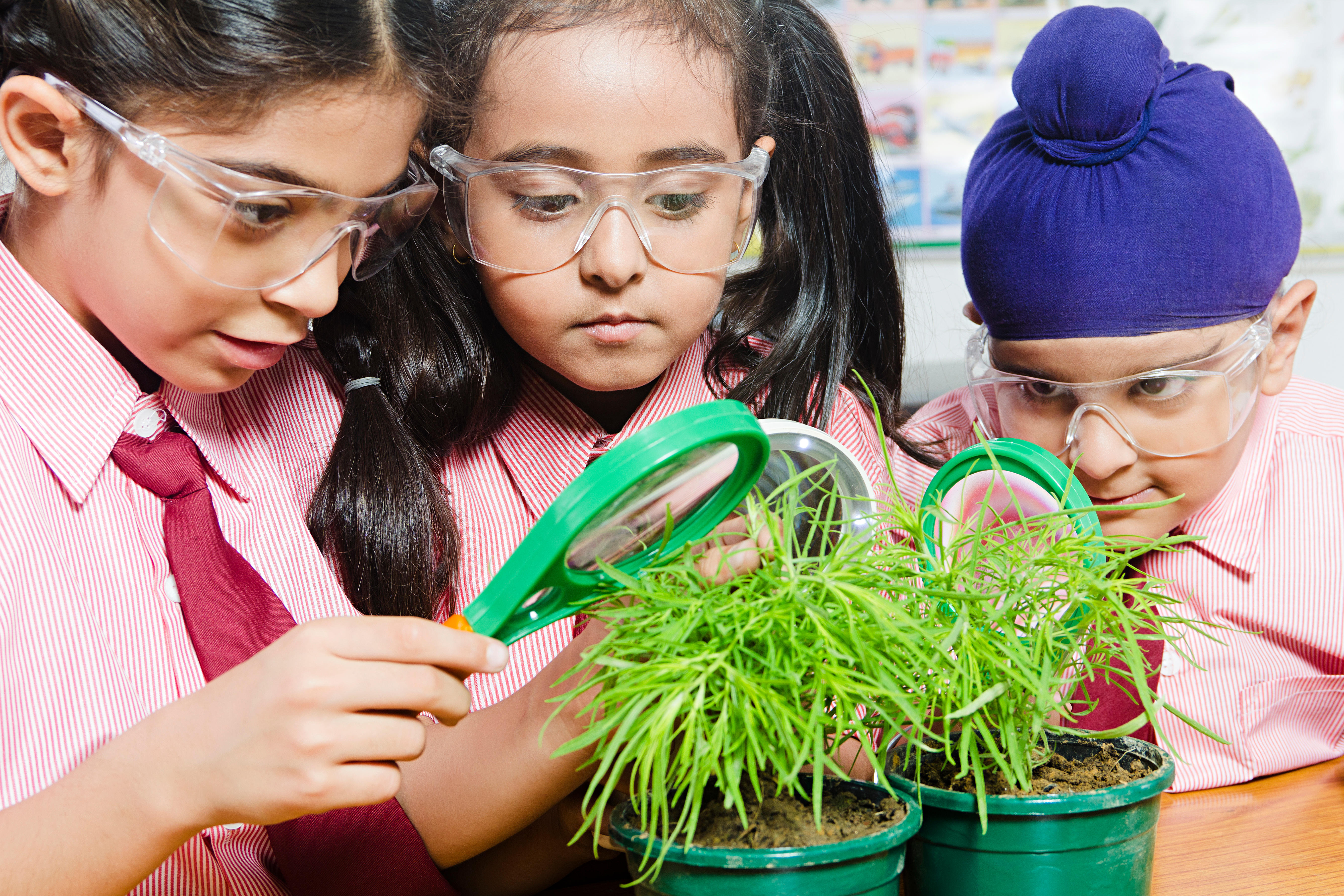 Kinder profitieren davon, schon in jungen Jahren etwas über Pflanzen zu lernen