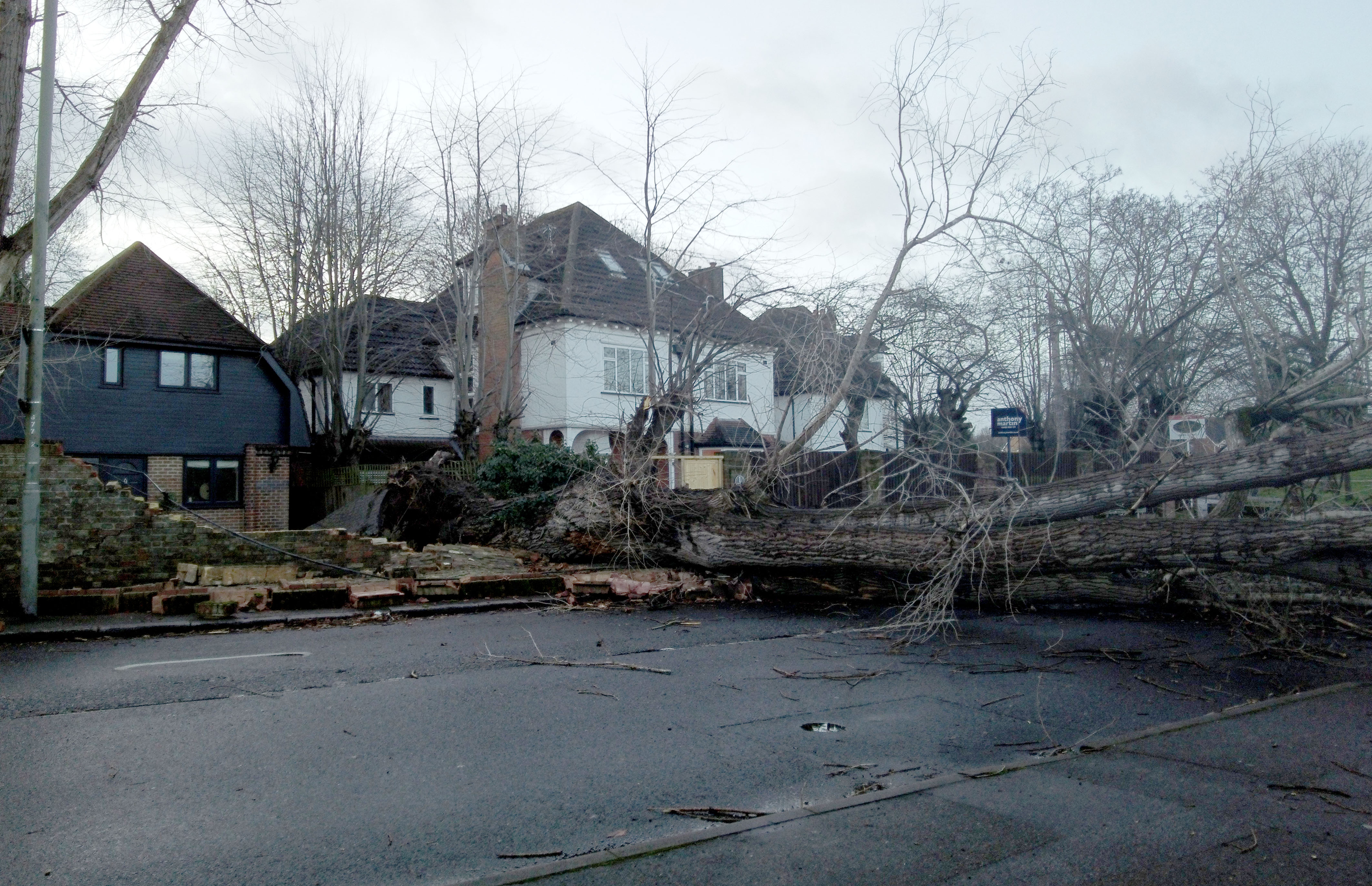 Ein umgestürzter Baum in Southborough Lane Bickley, Bromley, im Südosten Londons am 22. Januar