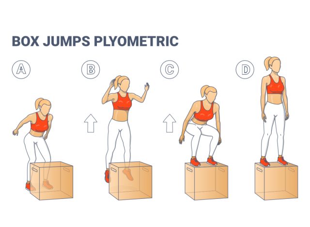 Box Jumps Plyometrie