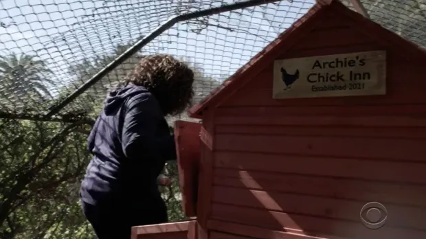 Der Stall hat eine Hütte namens „Archie's Chick Inn“.