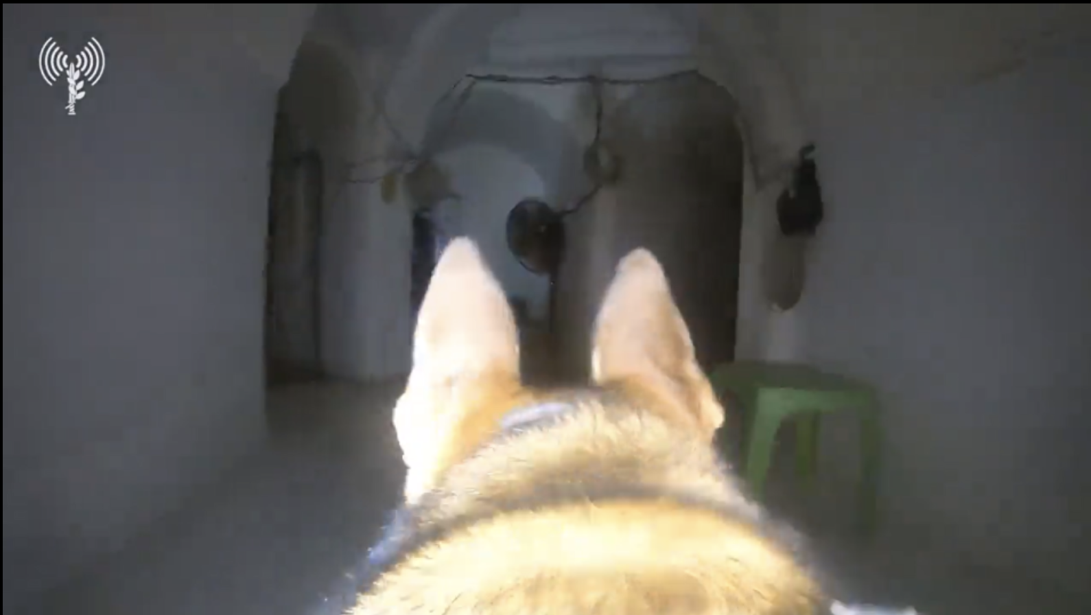 Ein anderer Hund entdeckte Hunderte Meter Kommando- und Kontrollräume in Hamas-Tunneln