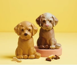 Die Schokoladenhäppchen Charlie the Labrador und Honey the Golden Retriever sind ebenfalls in der Kollektion