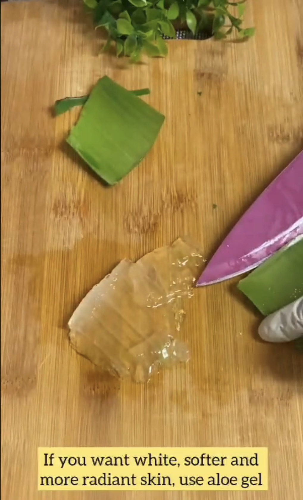 Meine DIY-Anti-Aging-Creme beseitigt Falten mit einer 2-Dollar-Zutat aus dem Supermarkt – Kollagen aus der Natur, OHNE GENEHMIGUNG VON https://www.tiktok.com/@lunasrasoighar/video/7272818969688444192