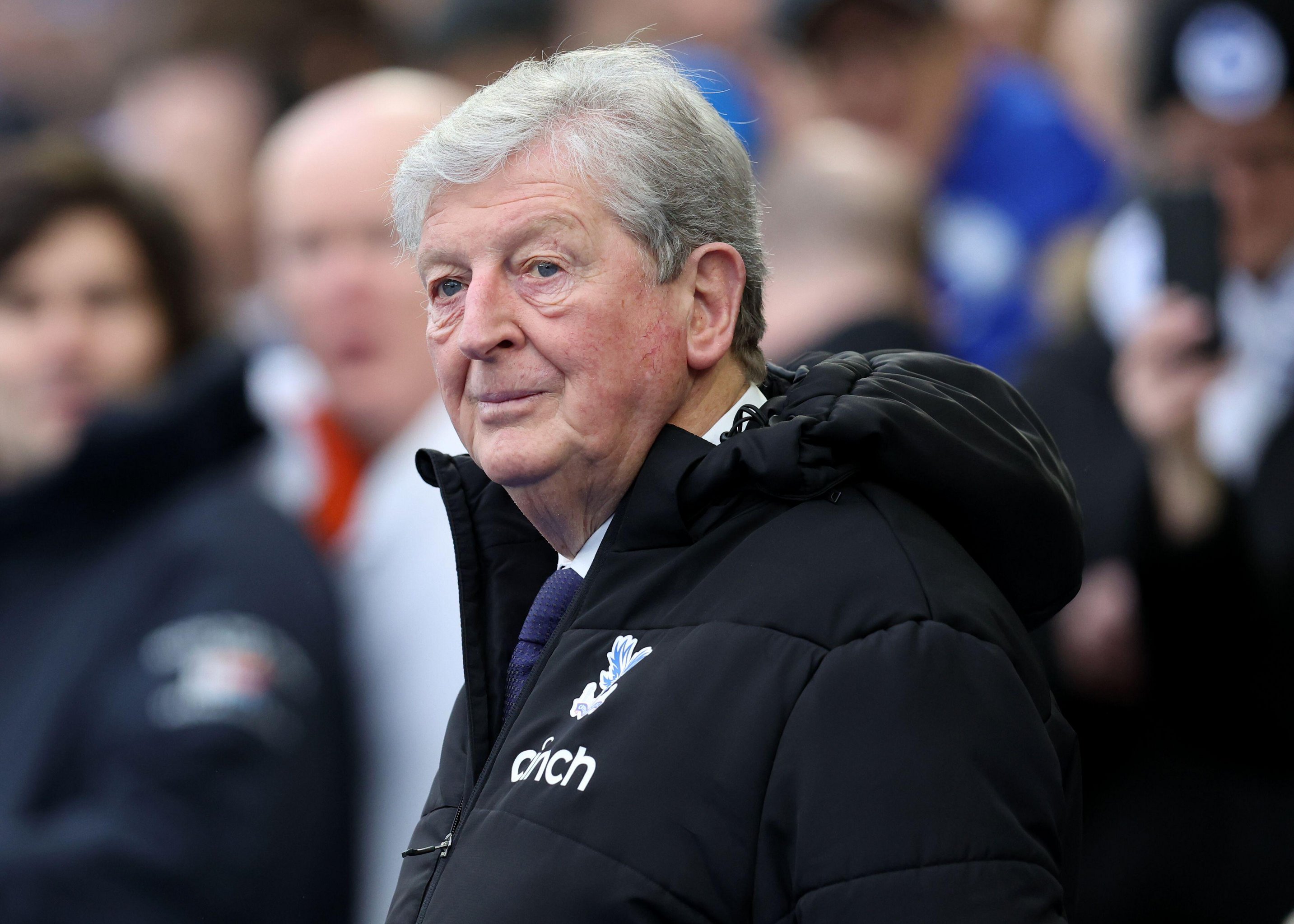 Die Entlassung von Roy Hodgson wird die Probleme von Crystal Palace nicht lösen