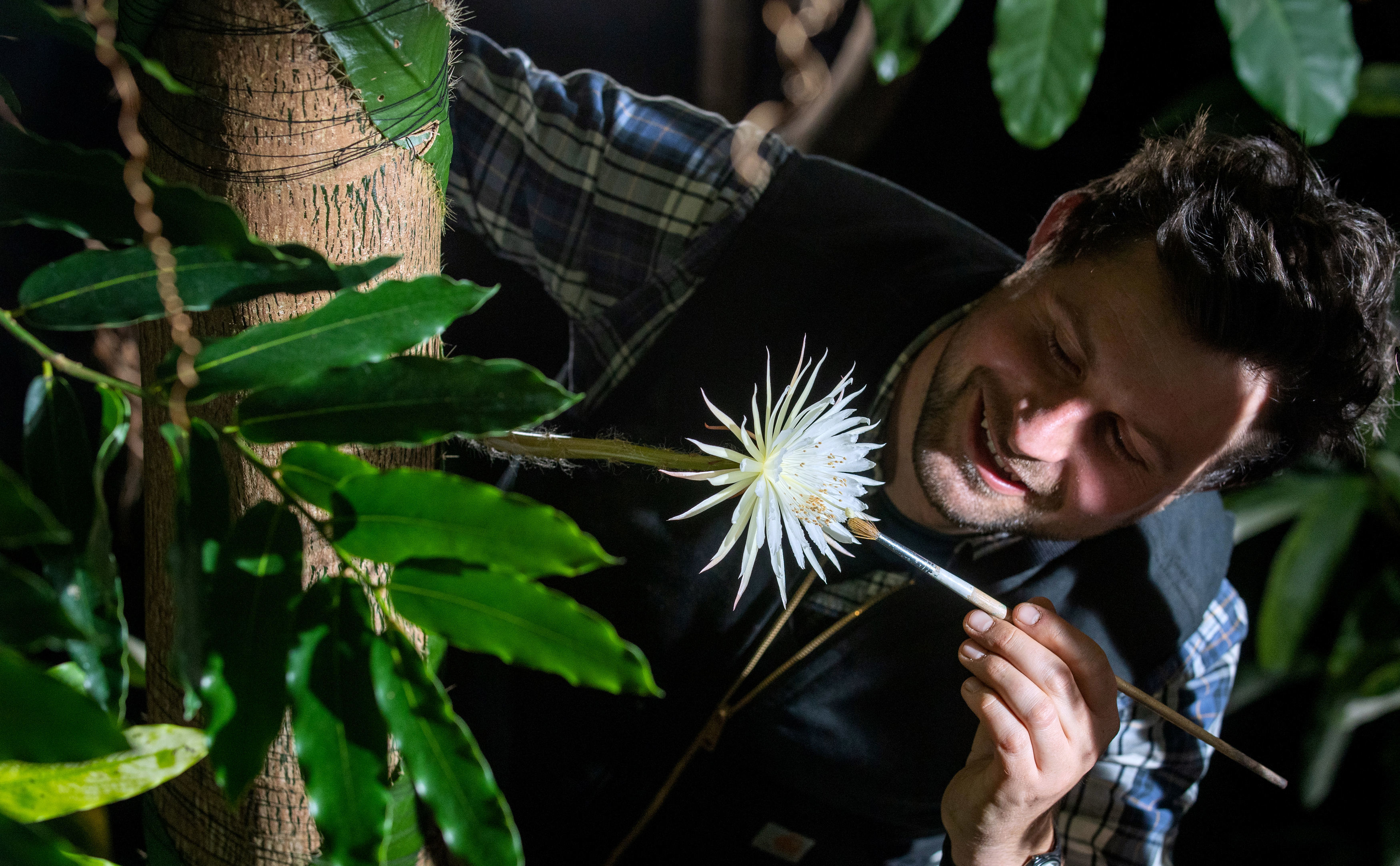 Gewächshausleiter Alex Aummers mit dem seltenen Amazonas-Kaktus