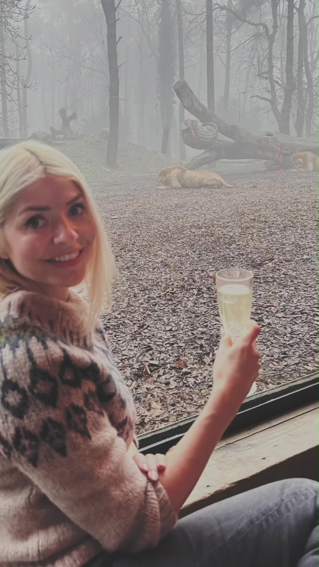 Holly genießt ein Glas Champagner, während sie die Löwen in ihrer Höhle beobachtet