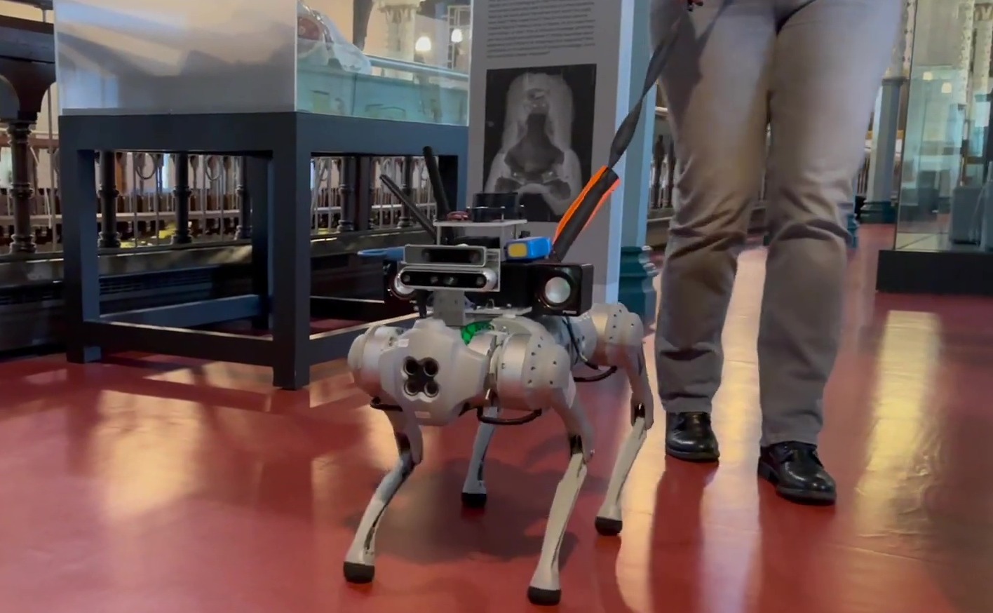 Der Roboterhund wurde darauf trainiert, Hindernissen auszuweichen und mit seinem Besitzer zu sprechen