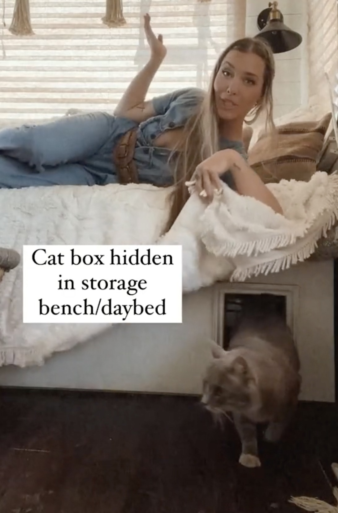 Ihr Tagesbett diente auch als Katzentoilette