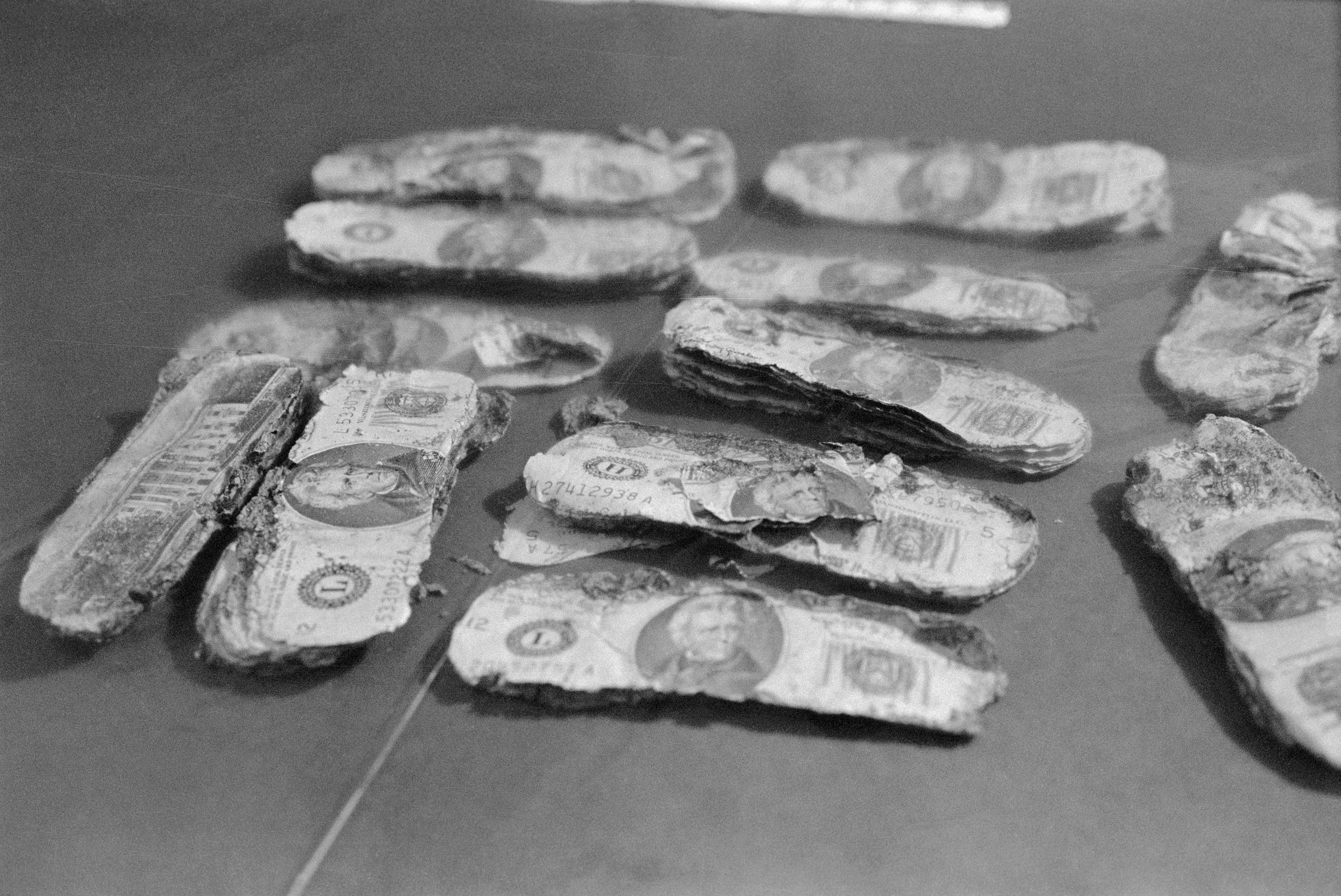 Almost $6,000 of Cooper's money was found along the Columbia River river in 1980 - but the lead led nowhere