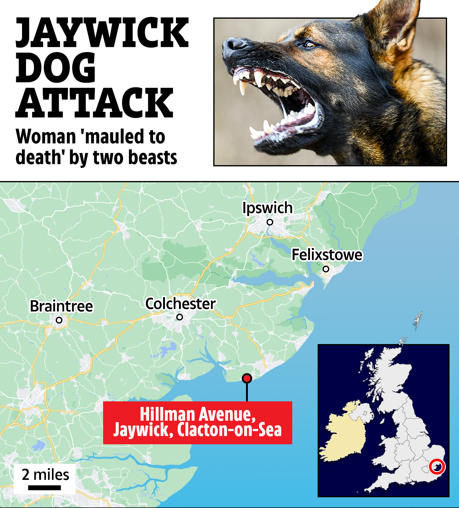 Der Angriff ereignete sich in der Nähe der Küstenstadt Clacton-on-Sea