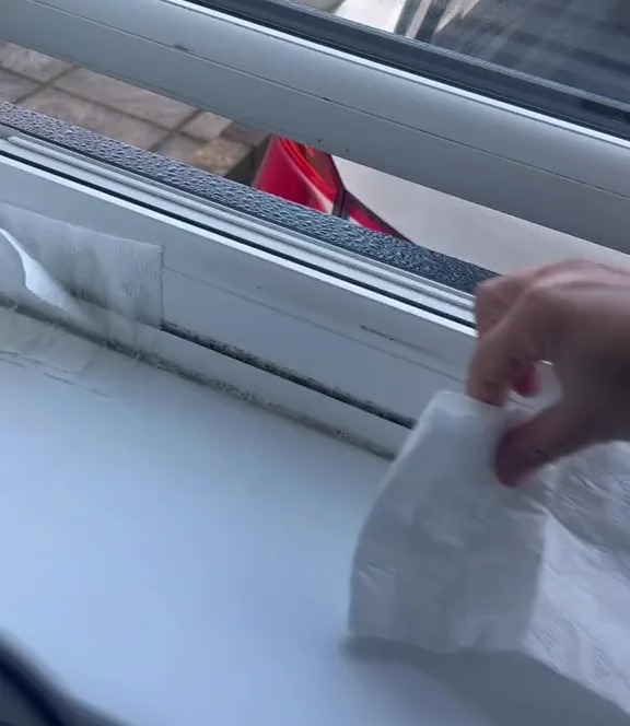 Anschließend legte sie Toilettenpapier um ihr Fenster