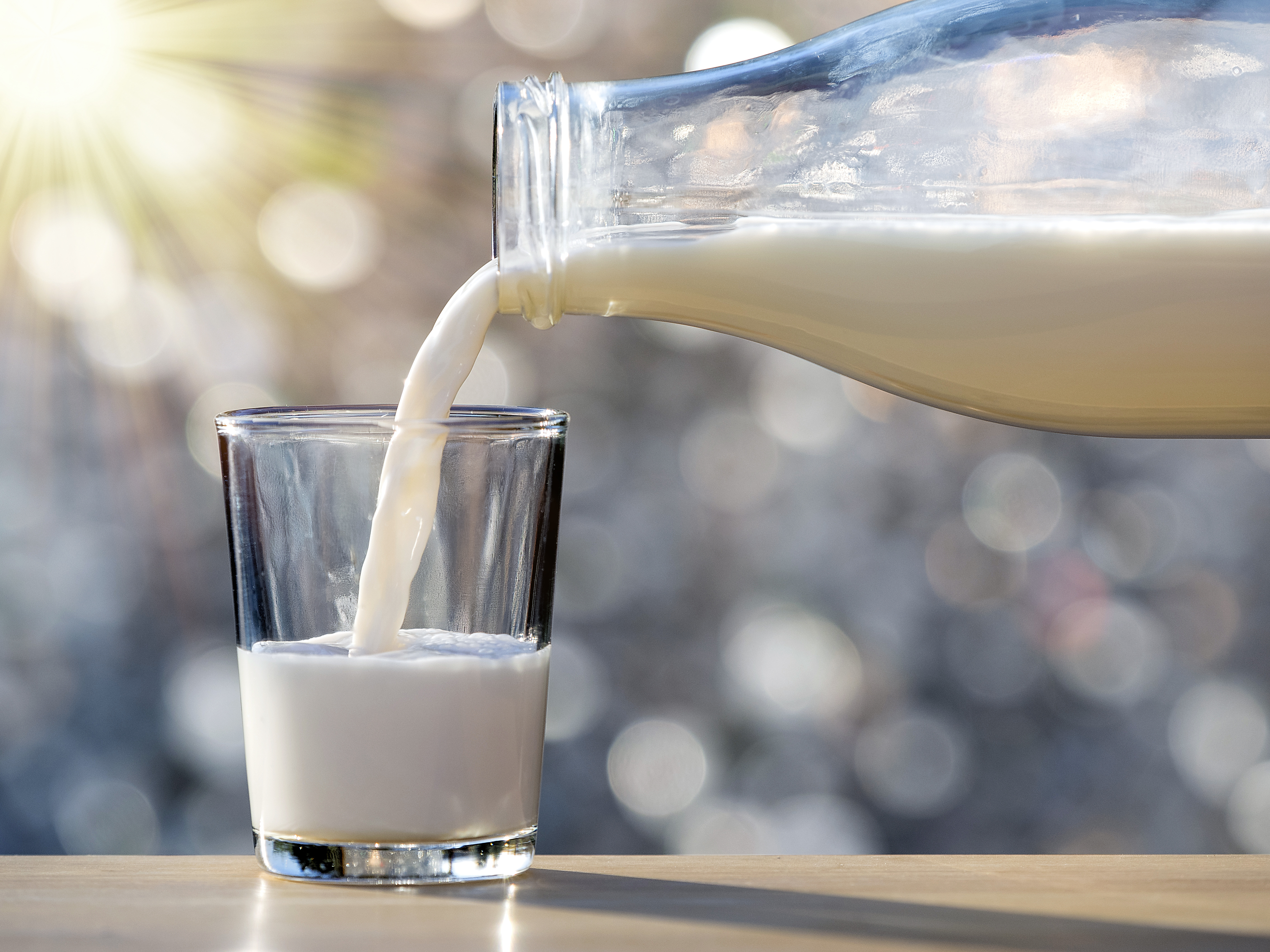 Milch enthält ein stickstoffbildendes Protein, das Orchideen benötigen