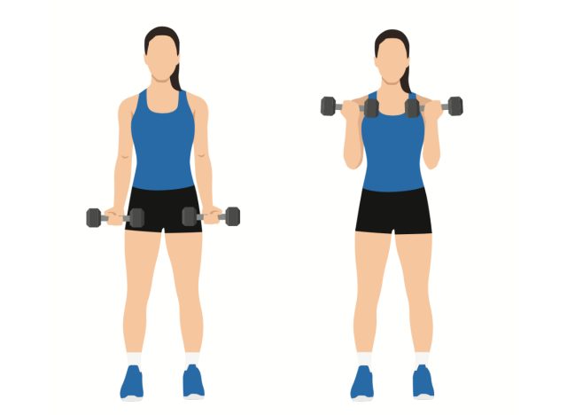Illustration, Konzept des stehenden Bizepscurls mit Kurzhanteln, um Ihre Arme in 30 Tagen zu trainieren