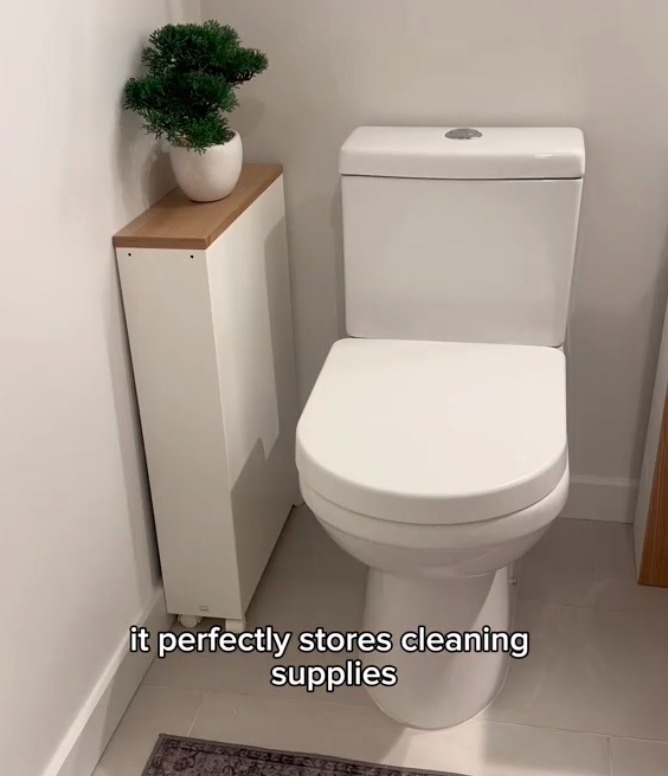 Ein „dünner“ Organizer war für ihr Badezimmer und die perfekt aufbewahrten Gegenstände bahnbrechend