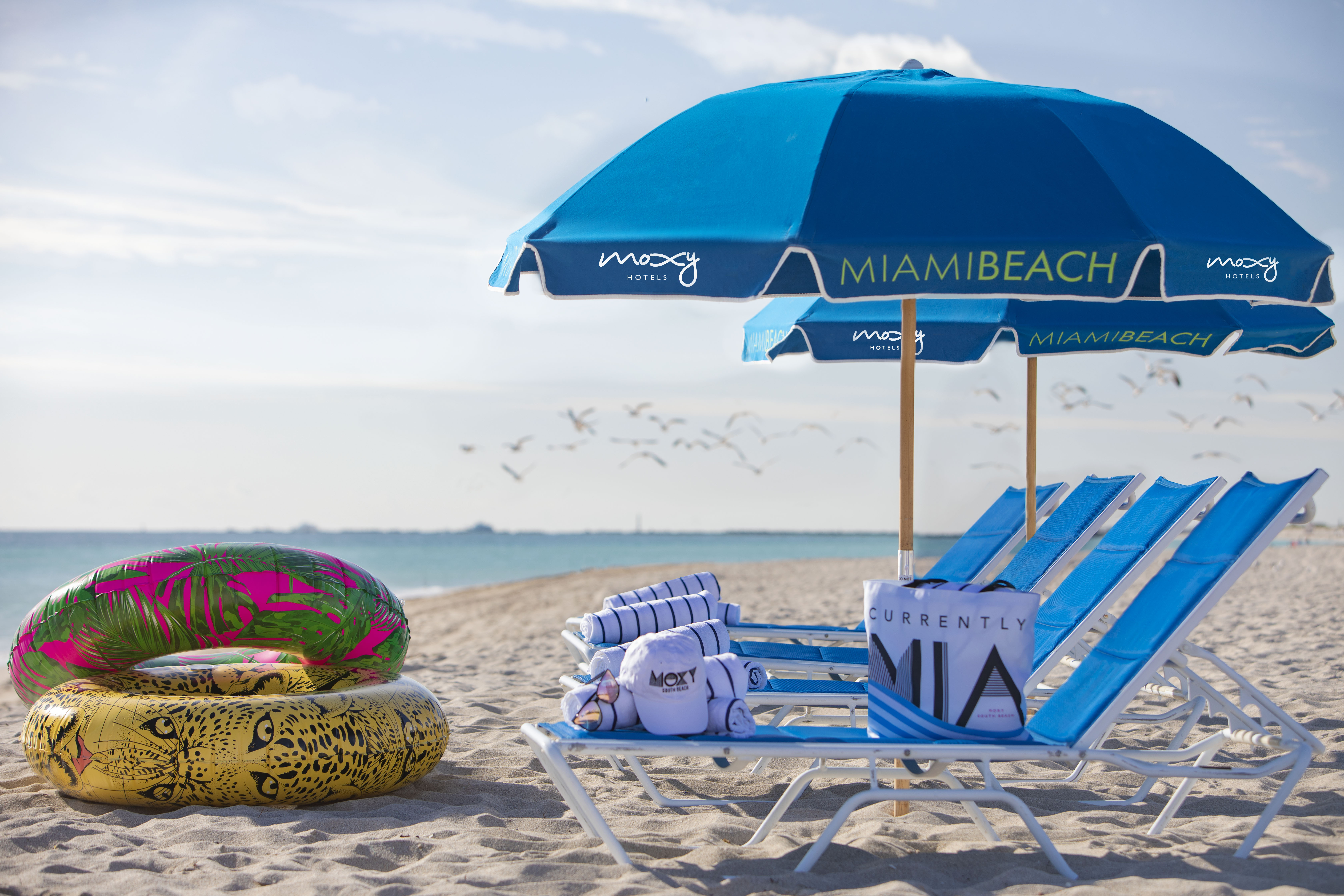 In Miami gibt es viel zu unternehmen, aber wenn Sie den ganzen Tag am Strand sitzen möchten, funktioniert das auch