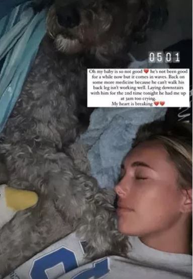 Diese Woche gab Amber bekannt, dass ihr Familienhund Buzz leider verstorben ist