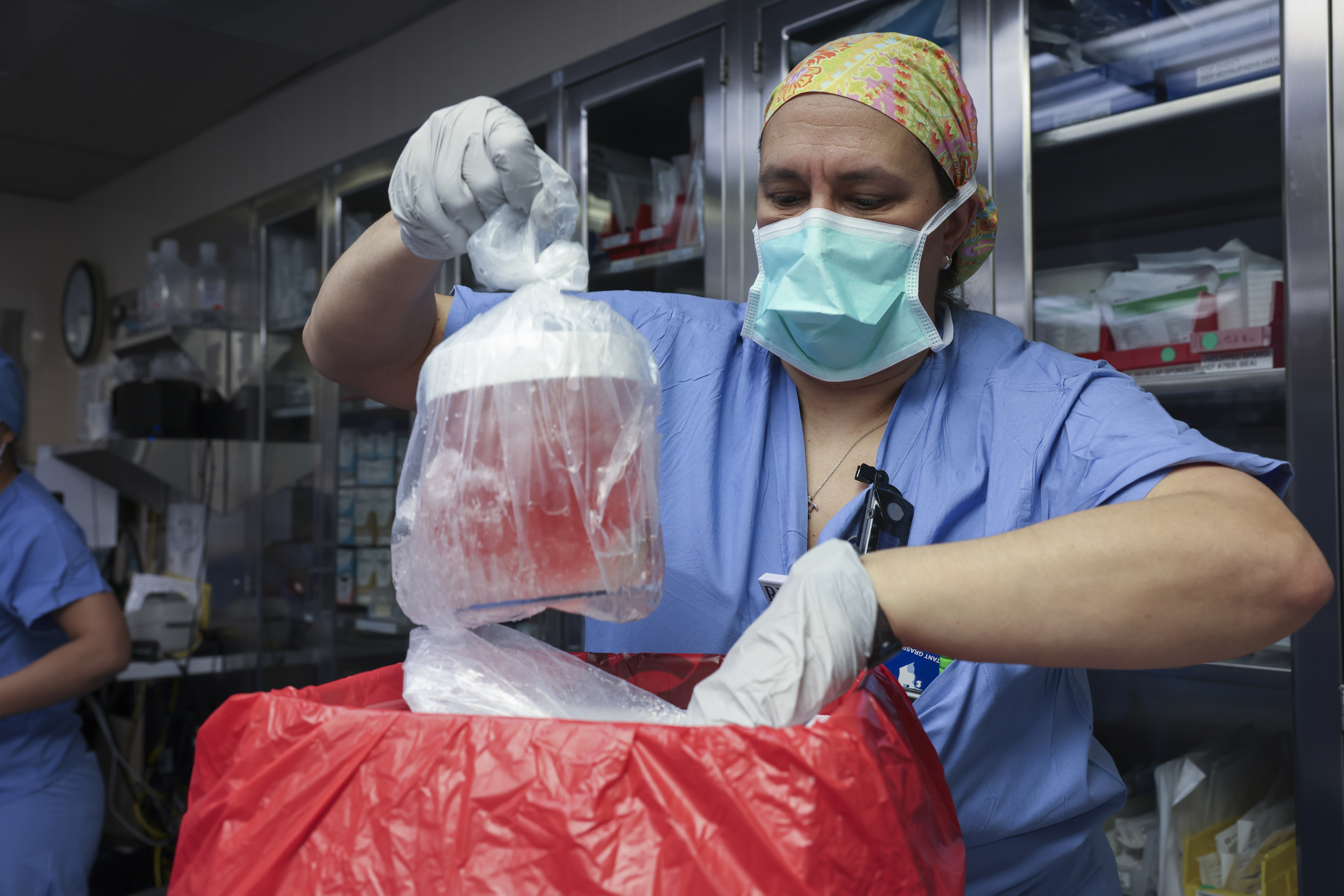 Eine Krankenschwester entnimmt die Schweineniere aus ihrer Schachtel, um sie für die Transplantation vorzubereiten