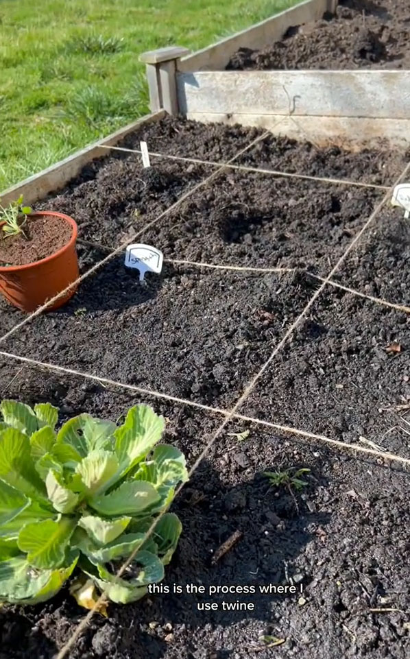 She used twine to section out her garden into one-foot blocks