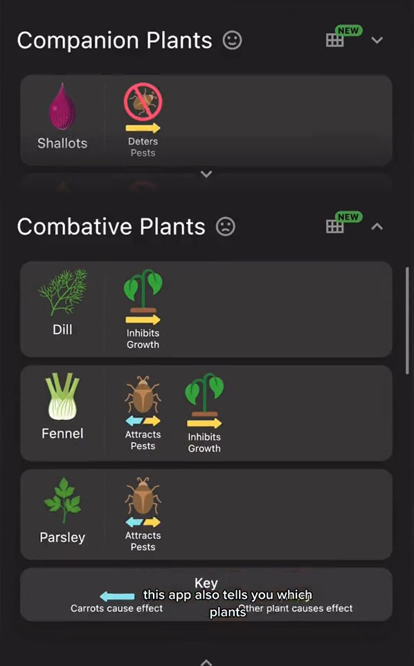 The Planter app helped her determine how much space crops needed
