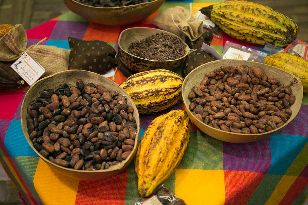 Gäste können alles über die Herstellung von Schokolade erfahren und dabei die köstlichen Ergebnisse genießen