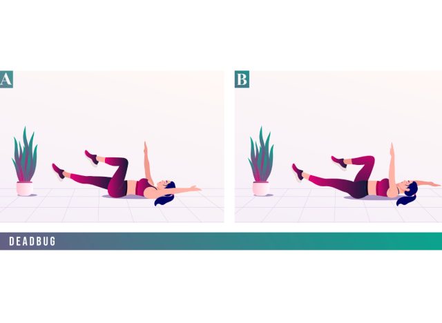 Illustration der toten Käferübung, Konzept des wöchentlichen Trainings für Frauen, um fit zu bleiben