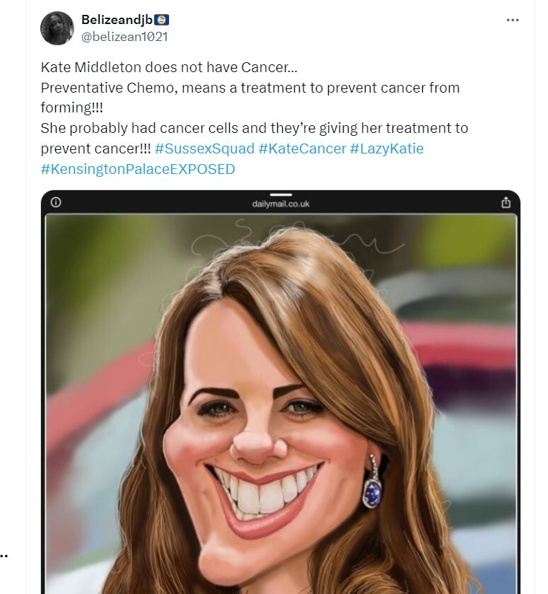 In den sozialen Medien verbreiten Mitglieder des Sussex Squad gefährliche Verschwörungstheorien über Kates Krebsoperation