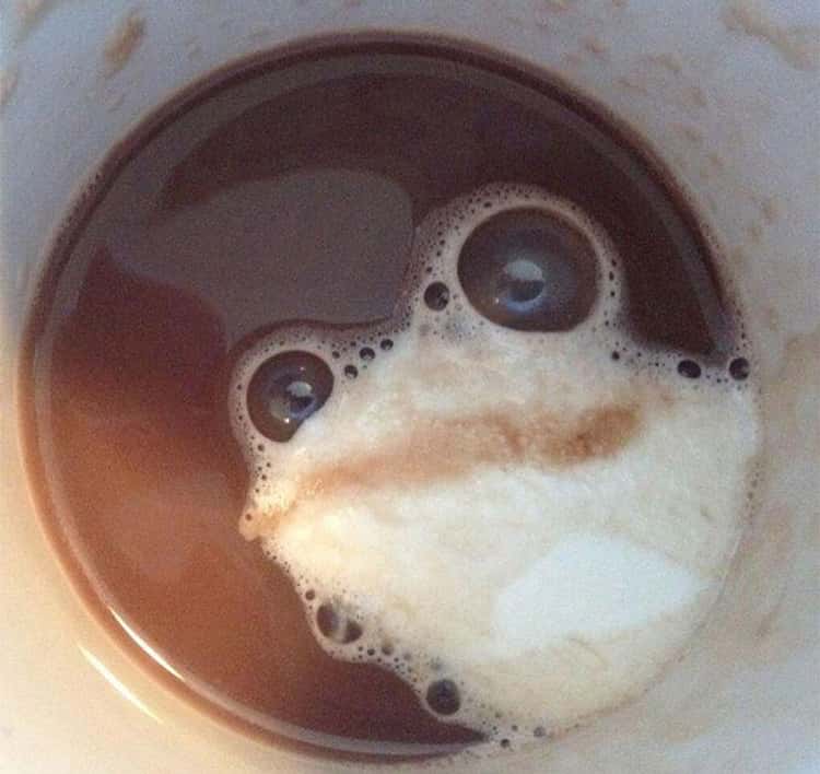Blasenprobleme... Kaffee gibt Ihnen Starthilfe, wenn schäumende Milch das Gesicht eines Frosches bildet