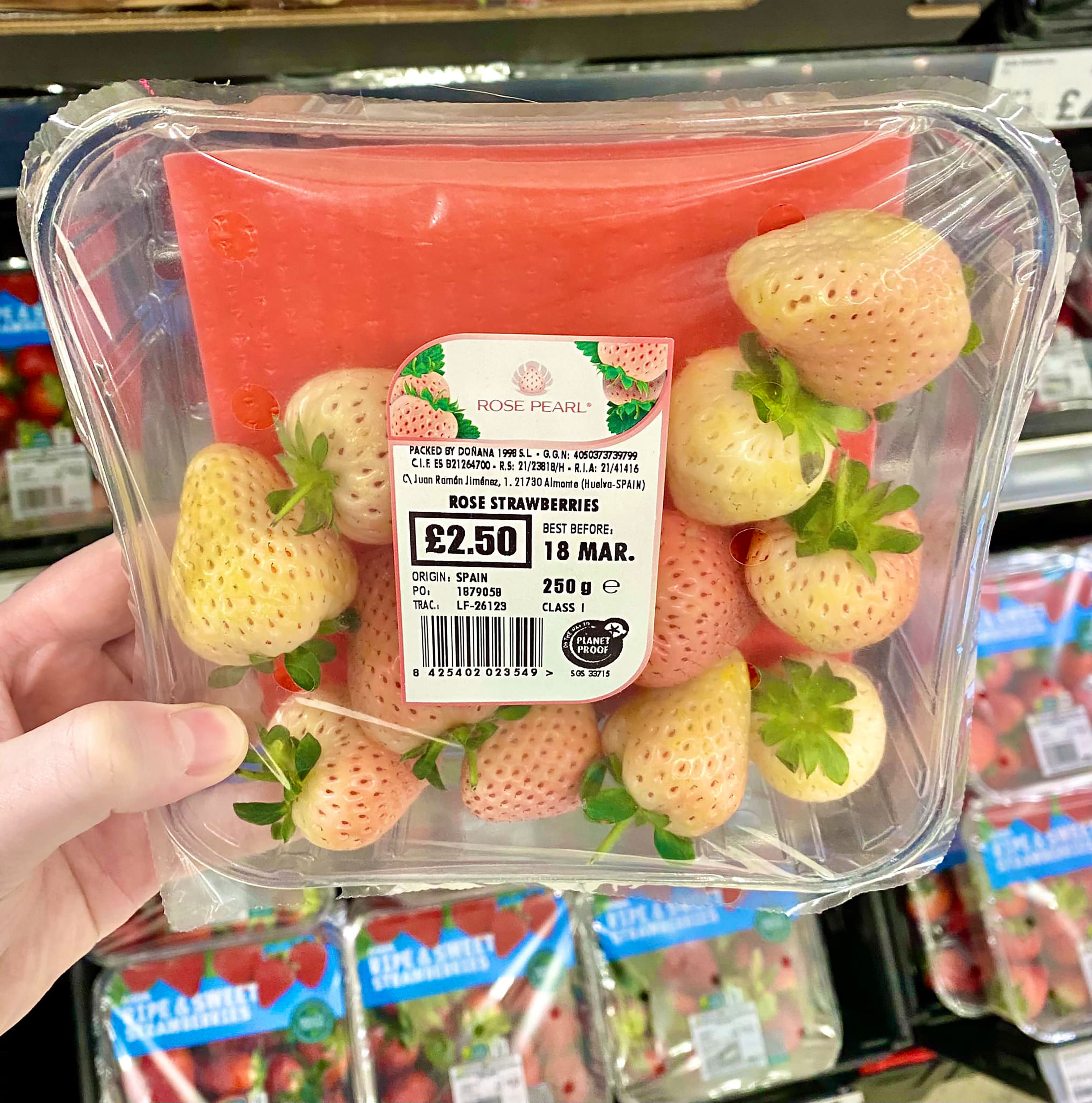 Ein Schnäppchenjäger hat Rose Pearl Strawberries entdeckt, die für 2,50 £ verkauft wurden