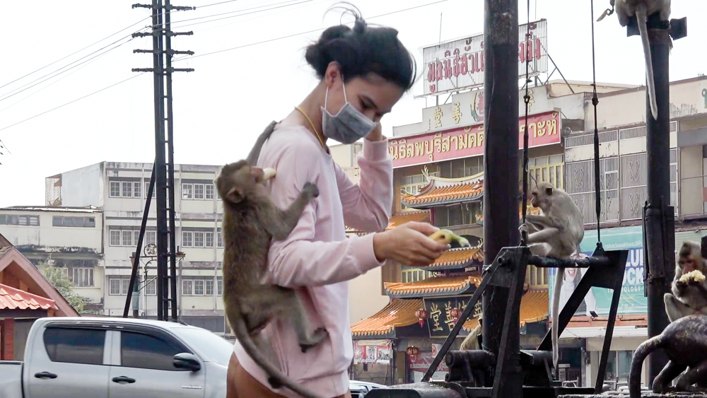 Tausende widerspenstige Primaten streifen durch die Straßen und greifen Besucher in Lopburi an