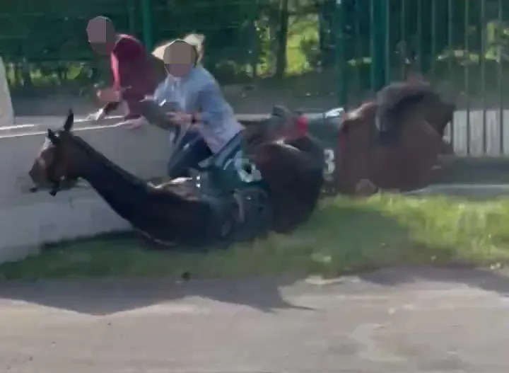 Schockierende Aufnahmen zeigten eine Frau, die auf der Strecke von zwei Pferden angefahren wurde