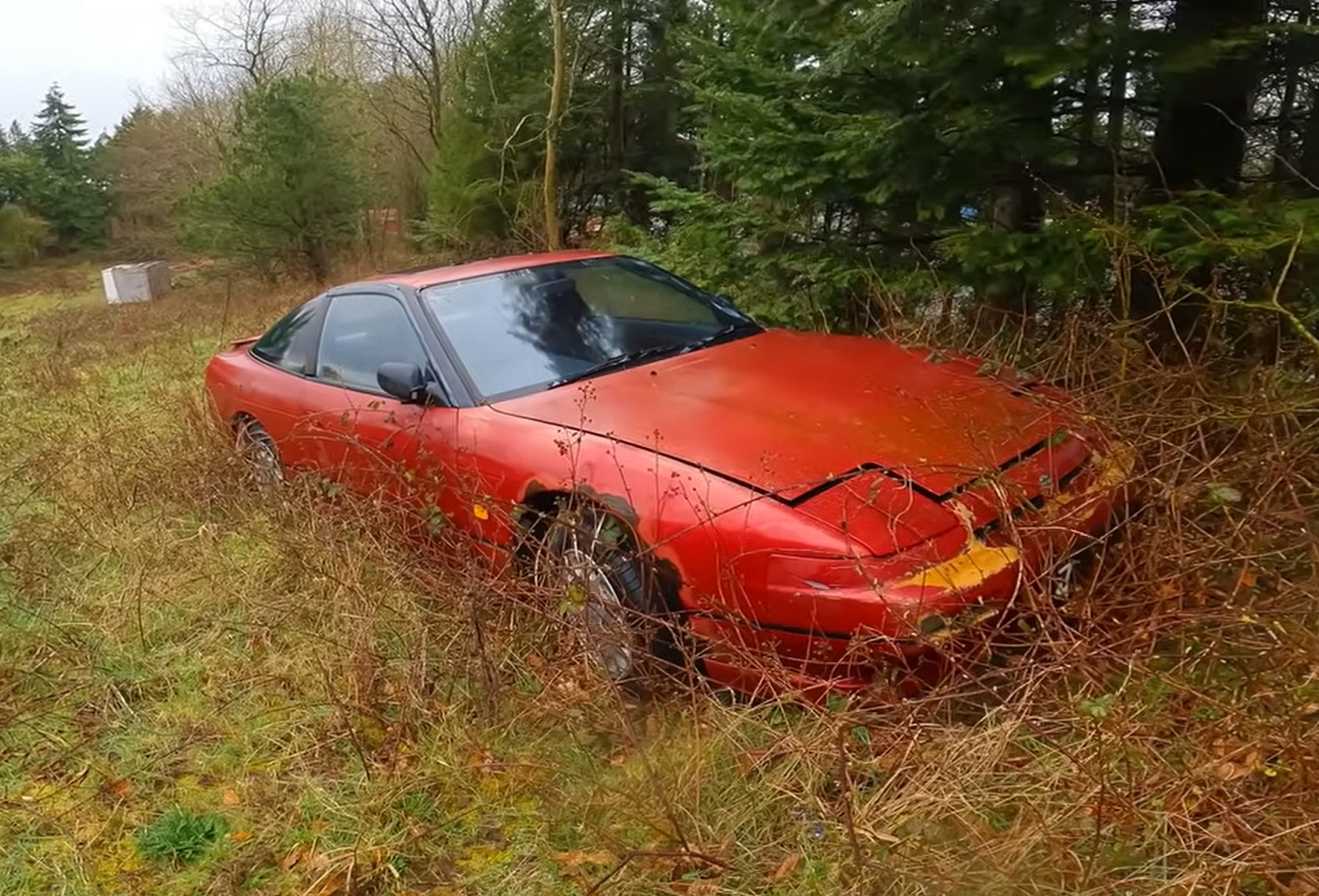 Der seltene Nissan wurde im Wald gesichtet und schien intakt zu sein