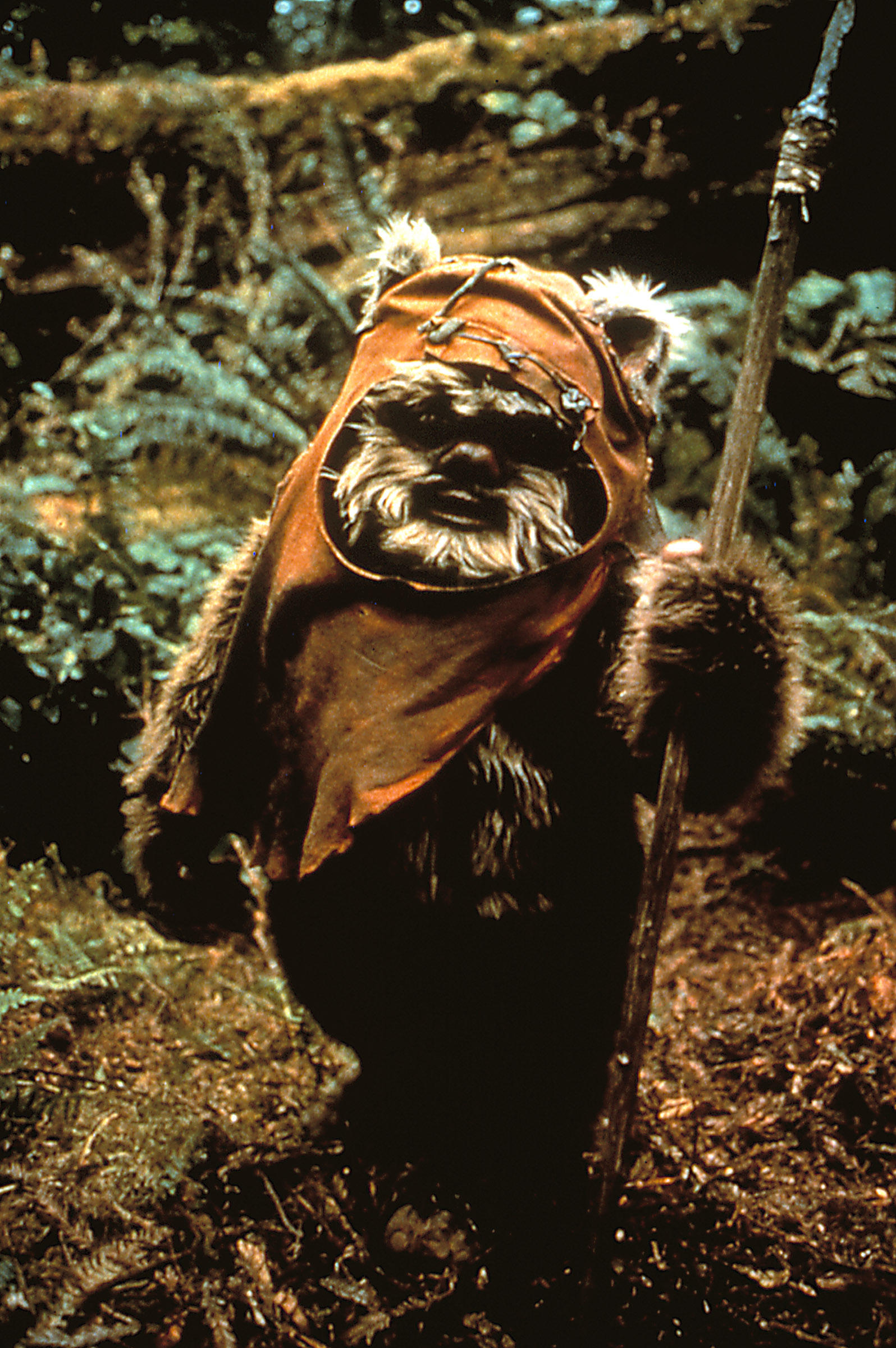   Warwicks erste Filmrolle war in Star Wars: Episode VI – Die Rückkehr der Jedi-Ritter als Ewok Wicket W
