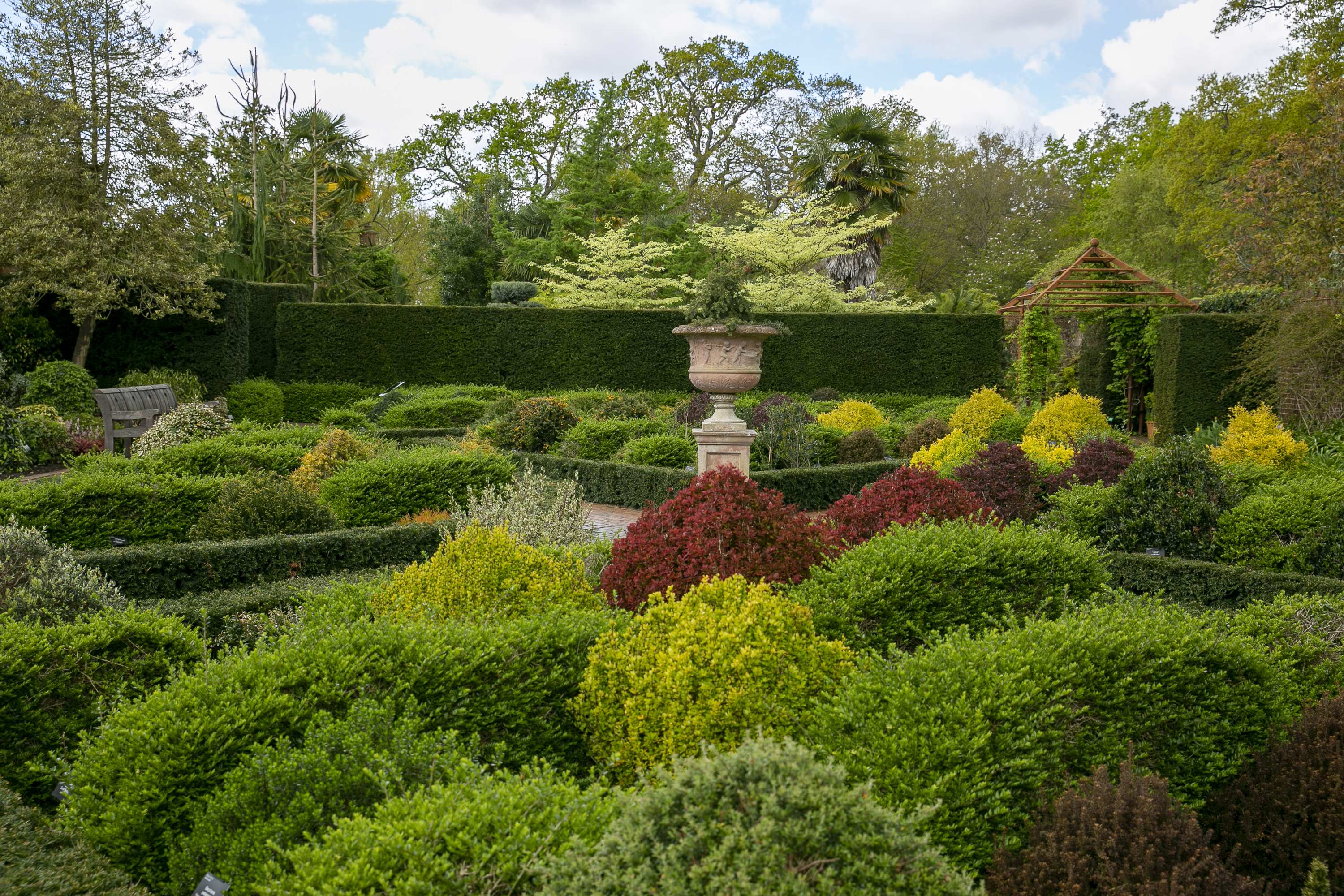 Der ummauerte Garten von RHS Wisley ist voller Buxus-Alternativen
