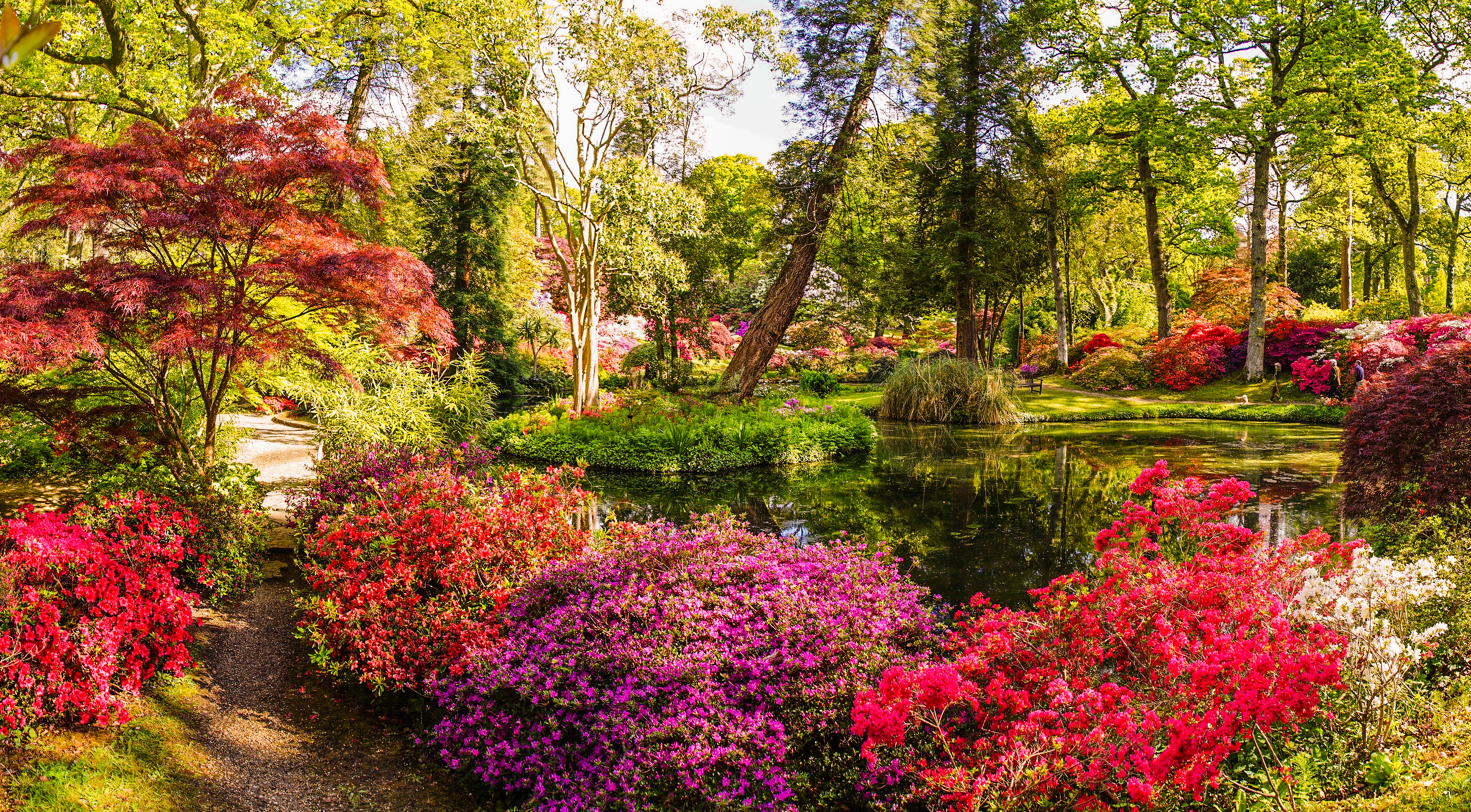 Exburys ausgezeichnete Gärten – Heimat von mehr als 1.000 Rhododendronarten