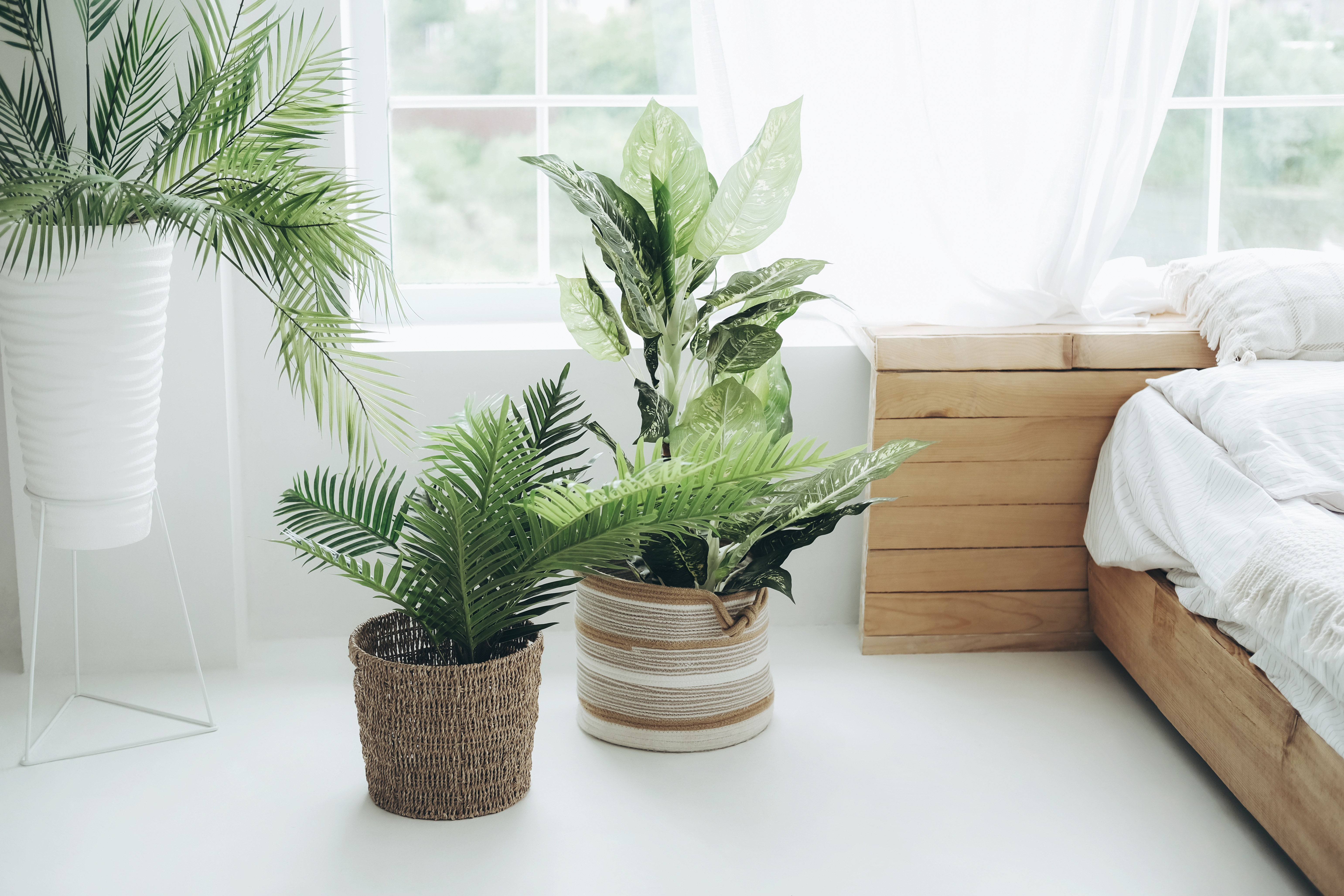 Künstliche Pflanzen können den „Unterschied zwischen einem billig aussehenden und einem luxuriösen Zuhause“ ausmachen