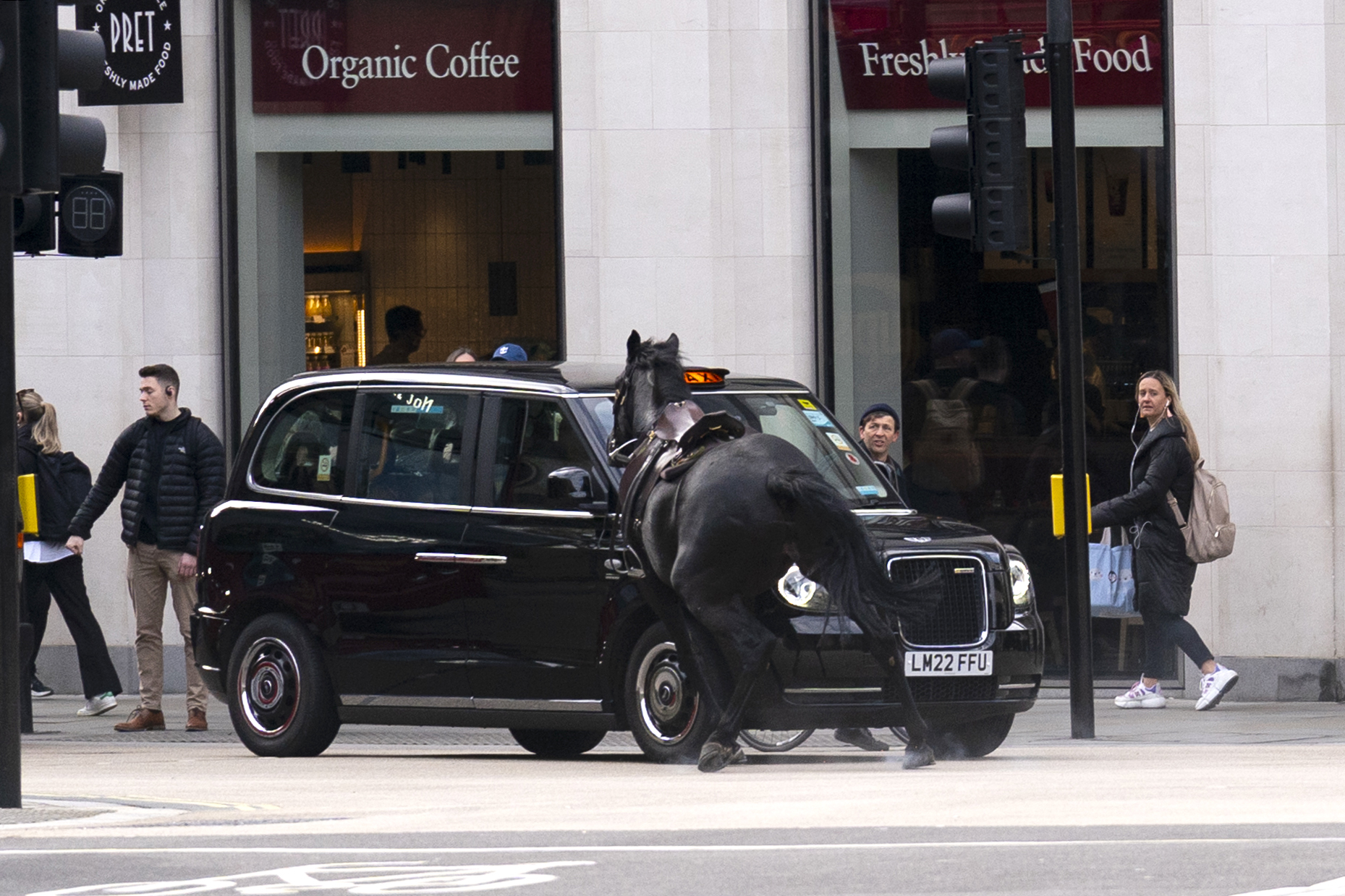Eines der tobenden Pferde kollidierte mit einem schwarzen Taxi vor einem Pret-Café, während Passanten zuschauten