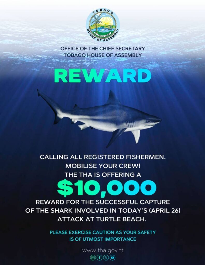 Jedem Fischer, dem es gelang, den Hai zu fangen, wurde eine Belohnung von 10.000 US-Dollar ausgesetzt